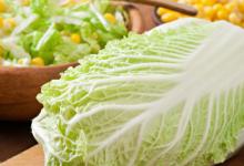 5月份适合种什么菜 5月份种哪些蔬菜比较合适