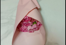 喵街种花中间能不能换花