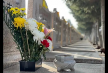 2023清明节墓园几点开门