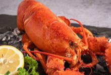 龙虾暂时不吃怎么保存 龙虾暂时不吃如何保存