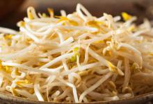 豆芽暂时不吃怎么保存 豆芽暂时不吃的方法