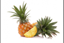 菠萝选叶子大的还是小的