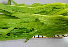 新鲜的油麦菜怎么保存 油麦菜如何保存新鲜