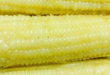 糯玉米要煮多久 糯玉米需要煮几分钟才能吃