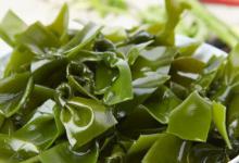 怎样泡发海带好吃 泡发海带的方法