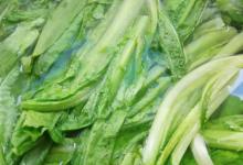 油麦菜炒之前要焯水吗 油麦菜需要焯水再炒吗