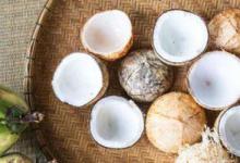 椰肉可以生吃吗