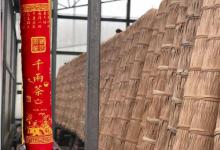 安化千两茶哪个牌子好