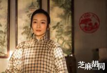 芝麻胡同好看么