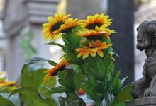 扫墓要带些什么东西 清明节扫墓要准备什么东西