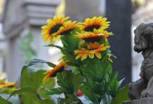 扫墓带什么供品 扫墓带的供品有哪些