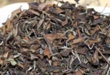 福鼎白茶可以保存多久 福鼎白茶能保存多长时间