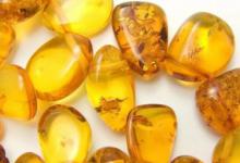 琥珀怎么看真假 琥珀如何辨别真假呢