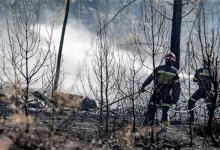 西班牙瓦伦西亚山林火灾发生火灾的原因有哪些？