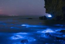 荧光海是怎么形成的