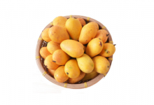 芒果用吹风机吹能催熟吗