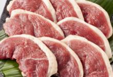 如何识别老鸭和嫩鸭 怎样识别老鸭和嫩鸭