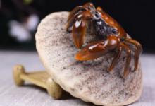 茶宠选什么材质的 茶宠材料哪种最好