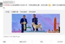 中华田园犬更名为唐犬？主办方辟谣：不能划等号