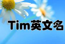 Tim英文名什么意思