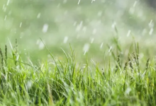 雨是什么排比句