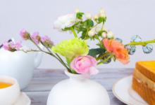 花卉买回来怎么种植不活 买回来的花为什么养不活