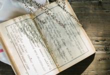亀怎么念 亀的读音介绍