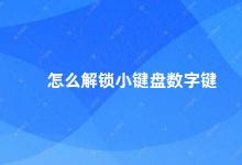 怎么解锁小键盘数字键 小技巧解锁小键盘数字键