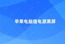 苹果电脑插电源黑屏 苹果电脑插电源后出现黑屏问题的解决方法