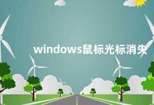 windows鼠标光标消失 解决Windows鼠标光标消失问题