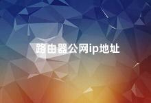 路由器公网ip地址 路由器公网IP地址的作用及获取方法