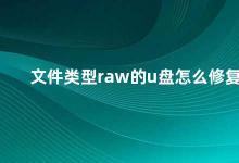 文件类型raw的u盘怎么修复 如何修复U盘的RAW格式