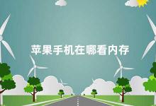 苹果手机在哪看内存 如何查看苹果手机的内存情况