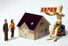 产权共有是什么意思