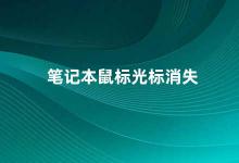 笔记本鼠标光标消失 笔记本鼠标光标消失的解决方法