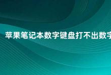 苹果笔记本数字键盘打不出数字 苹果笔记本数字键盘无法输入数字的解决方法