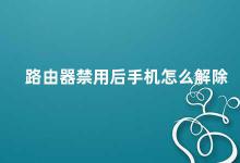 路由器禁用后手机怎么解除 路由器禁用后手机无法上网怎么办