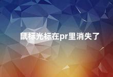 鼠标光标在pr里消失了 PR中鼠标光标消失的解决方法