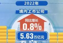 ​去年实现净利润5.63万亿元上市公司业绩保持韧性增长哪个板块增速最大？