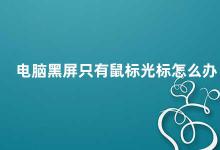 电脑黑屏只有鼠标光标怎么办 电脑黑屏只有鼠标光标教你轻松解决