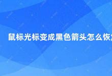 鼠标光标变成黑色箭头怎么恢复 如何解决鼠标光标变成黑色箭头的问题