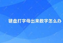 键盘打字母出来数字怎么办 键盘打字母出现数字怎么解决