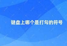 键盘上哪个是打勾的符号 如何在键盘上输入勾号