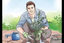 怎么处理生活垃圾