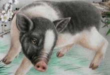 明天5·5日到月底财气大开外债全清，还会大发特发三生肖