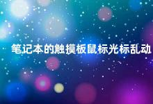 笔记本的触摸板鼠标光标乱动 如何解决笔记本触摸板鼠标光标乱动的问题