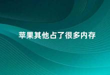 苹果其他占了很多内存 如何优化苹果设备存储空间