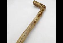 对节木拐杖是什么树？