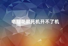 电脑花屏死机开不了机 电脑花屏死机的原因及解决方法