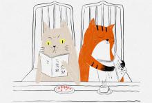 你猫的七个讨厌鬼